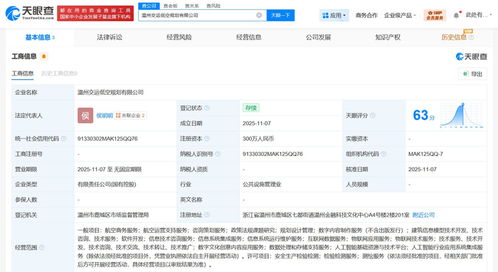 溫州市交通運輸集團牽頭成立低空規劃公司，注冊資本300萬推動咨詢策劃服務